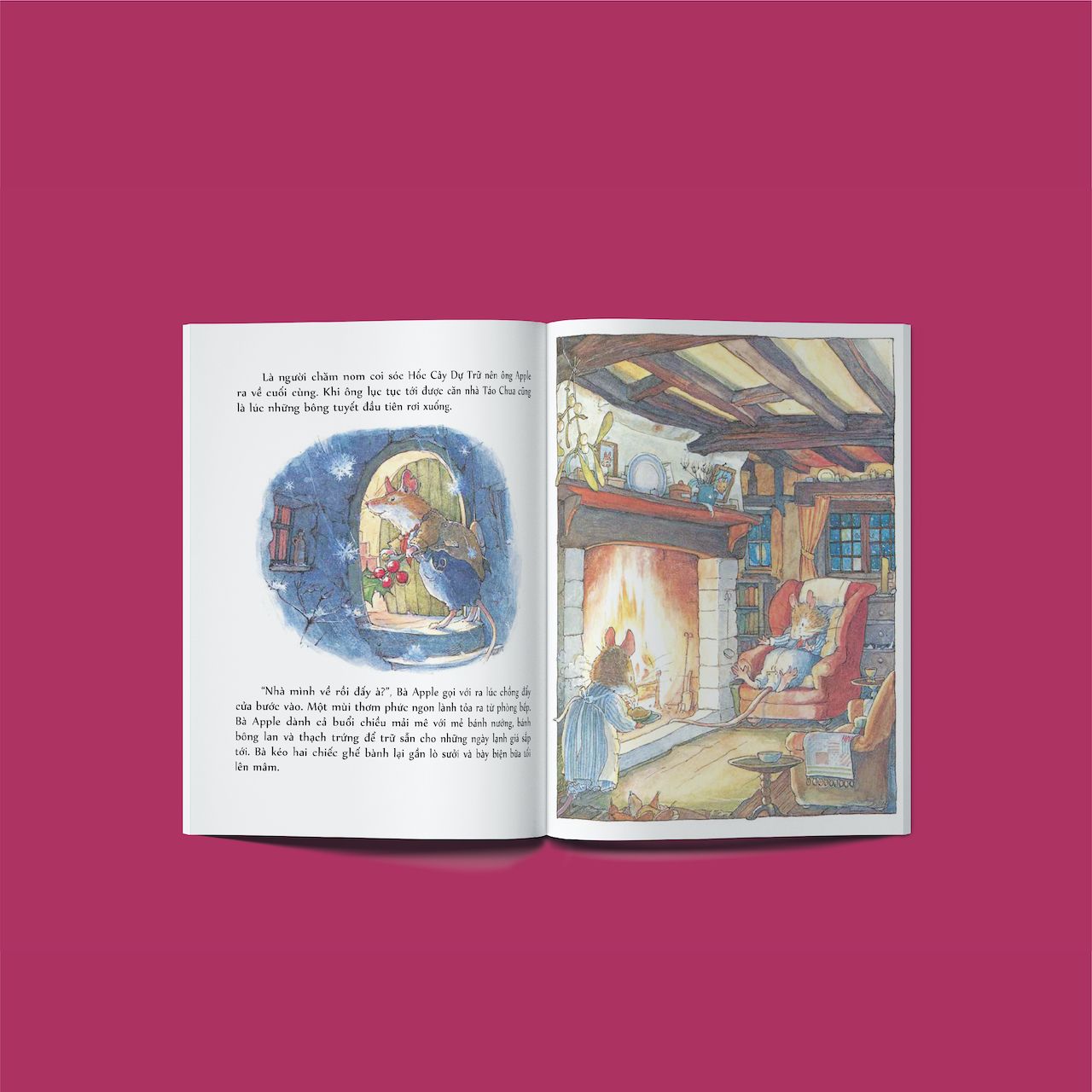 Boxset Miền dâu dại (Bramkly Hedge in Vietnamese) Bìa cứng Hardcover