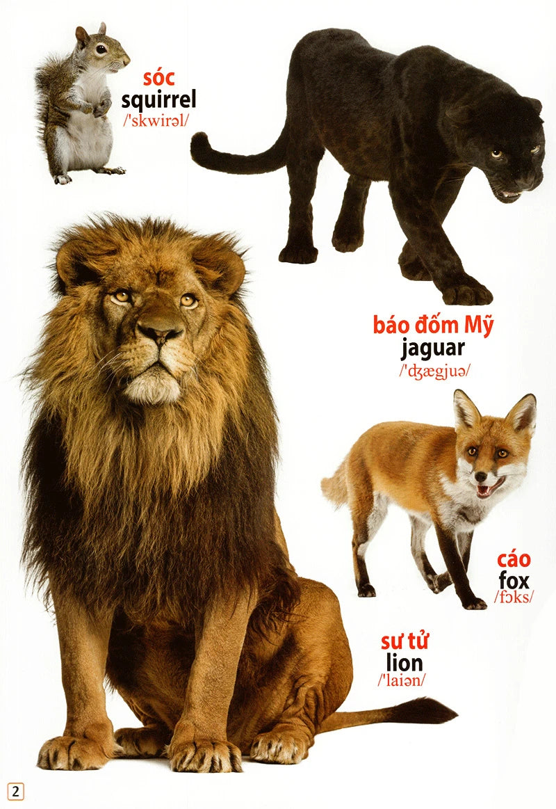 Picture Dictionary: Animals Around Me Từ điển bằng hình song ngữ động vật quanh em