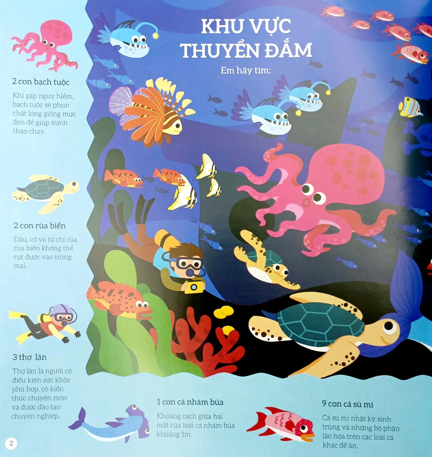Illustration of an underwater scene with various sea creatures and scuba divers.