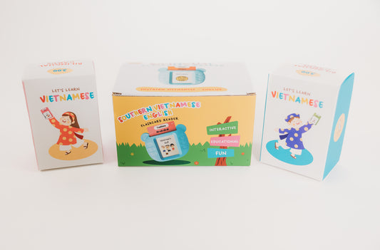 Southern Vietnamese english flashcard reader