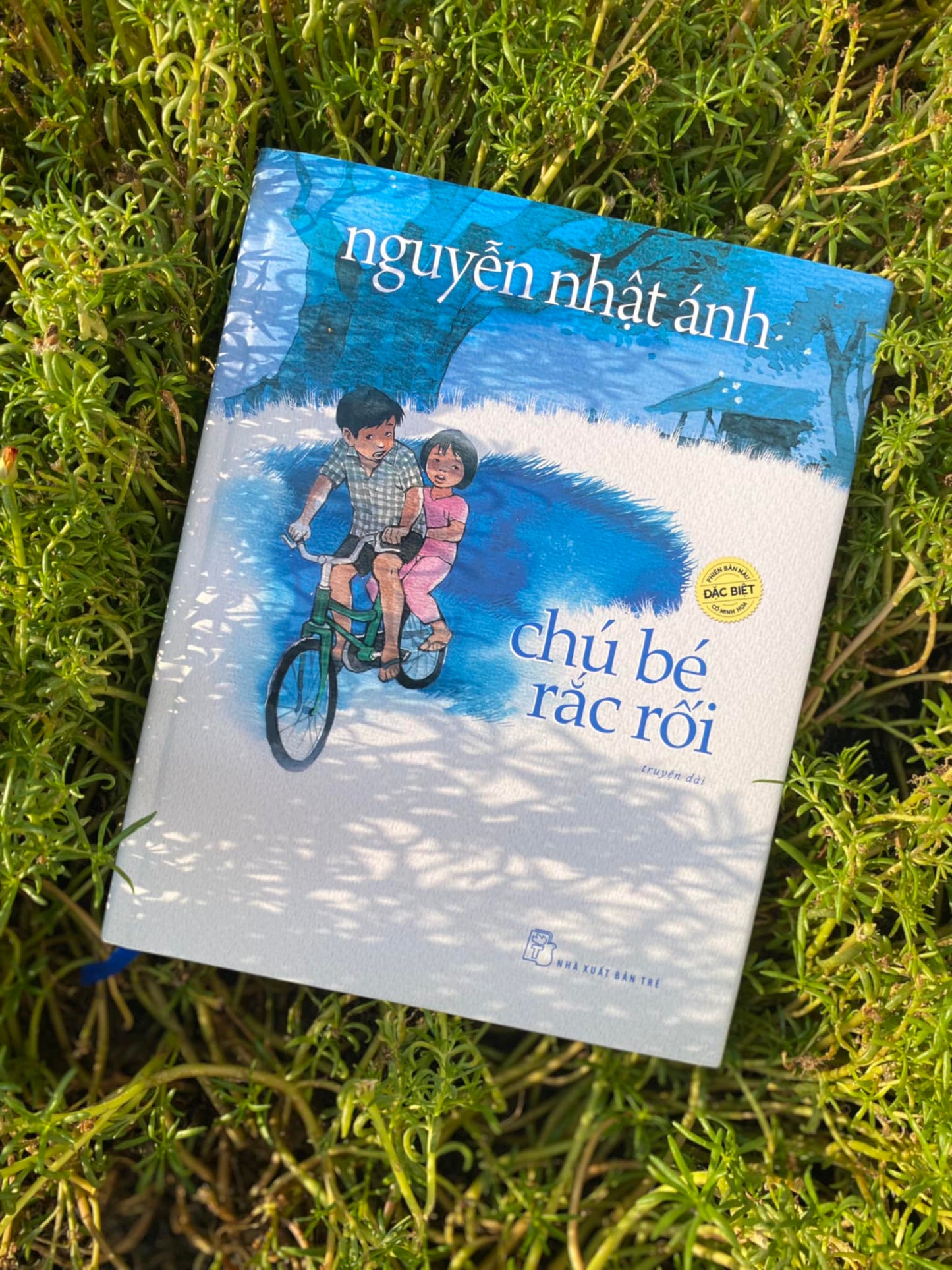 Chú Bé Rắc Rối - Bản Đặc Biệt - Bìa Cứng - Nguyễn Nhật Ánh