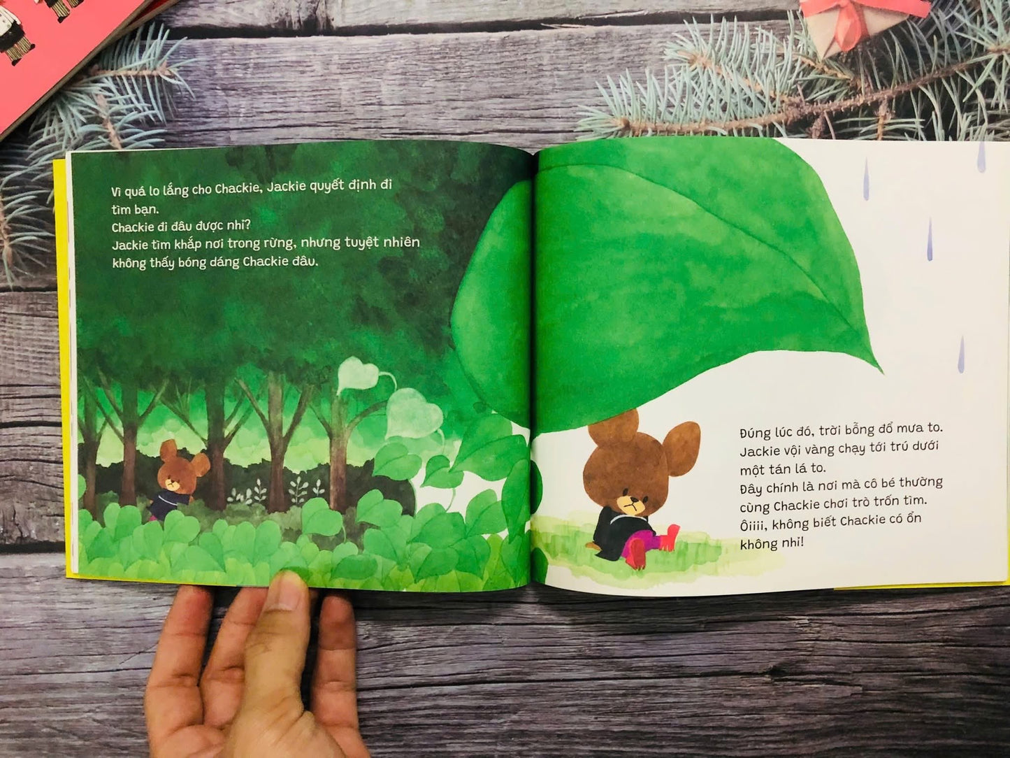 Combo 6 cuốn The Bear School (Trường Học Của Gấu)