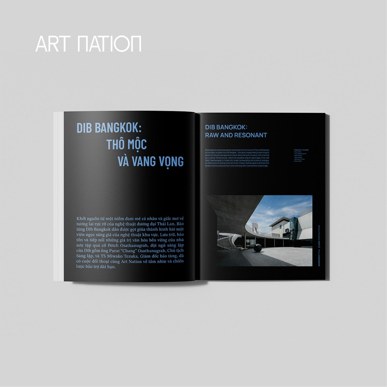 PREORDER ART NATION 10 MAGAZINE (Vietnamese-English bilingual art magazine)