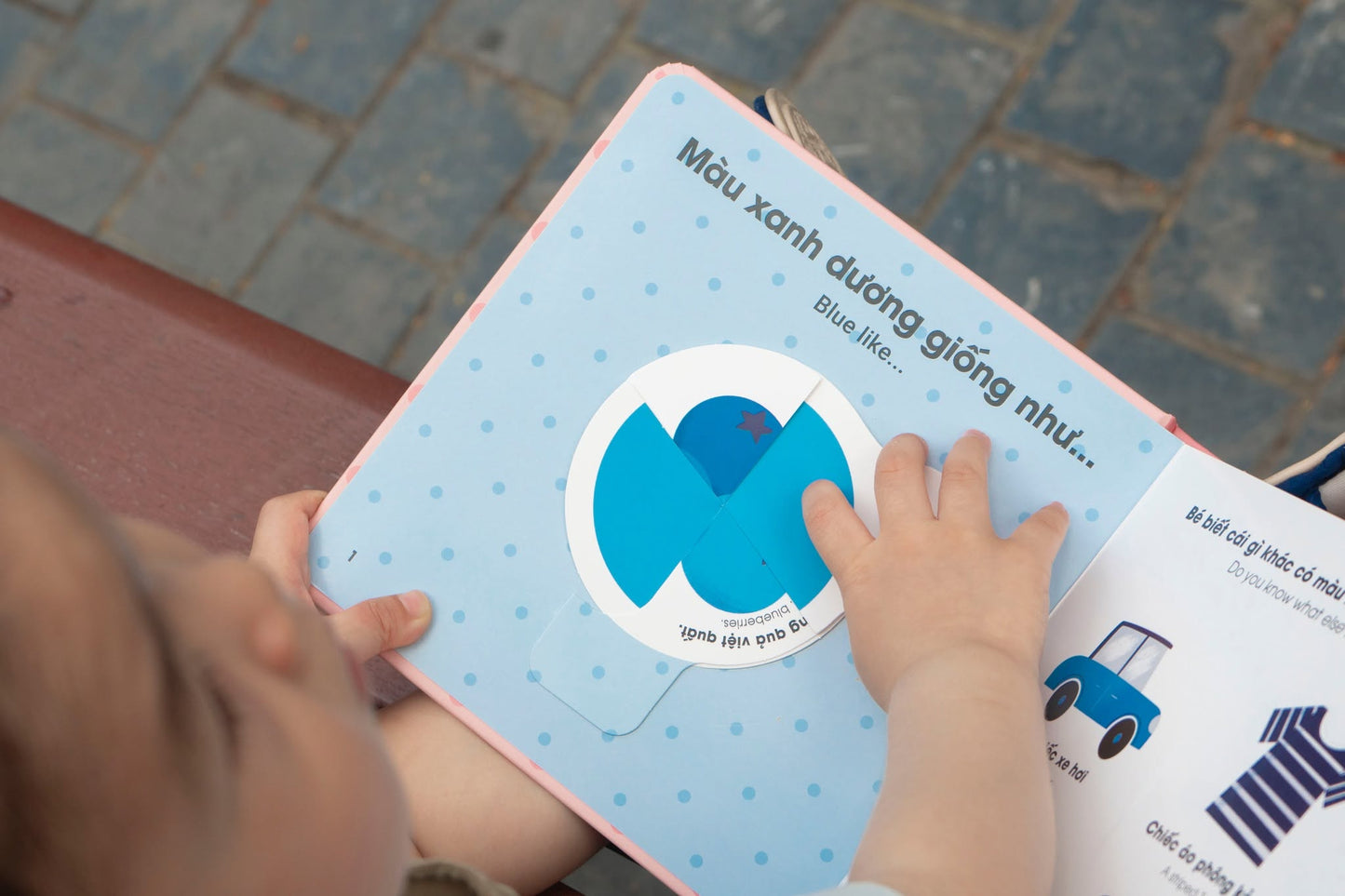 Vòng Xoay Khám Phá – Interactive Vietnamese-English Books for Babies 0–3
