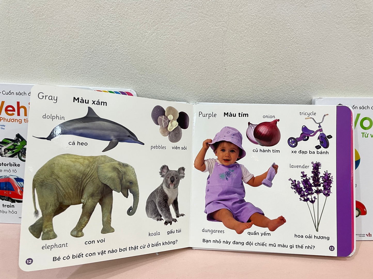 First words bilingual Vietnamese-English dictionary board book set for toddler (Animals, Colours, Farms, Vehicles, Words)