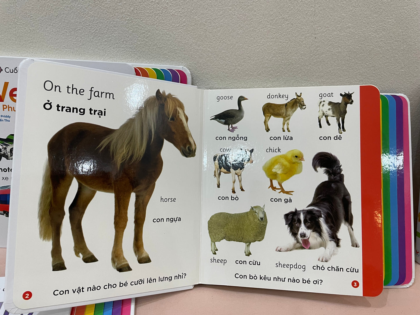 First words bilingual Vietnamese-English dictionary board book set for toddler (Animals, Colours, Farms, Vehicles, Words)