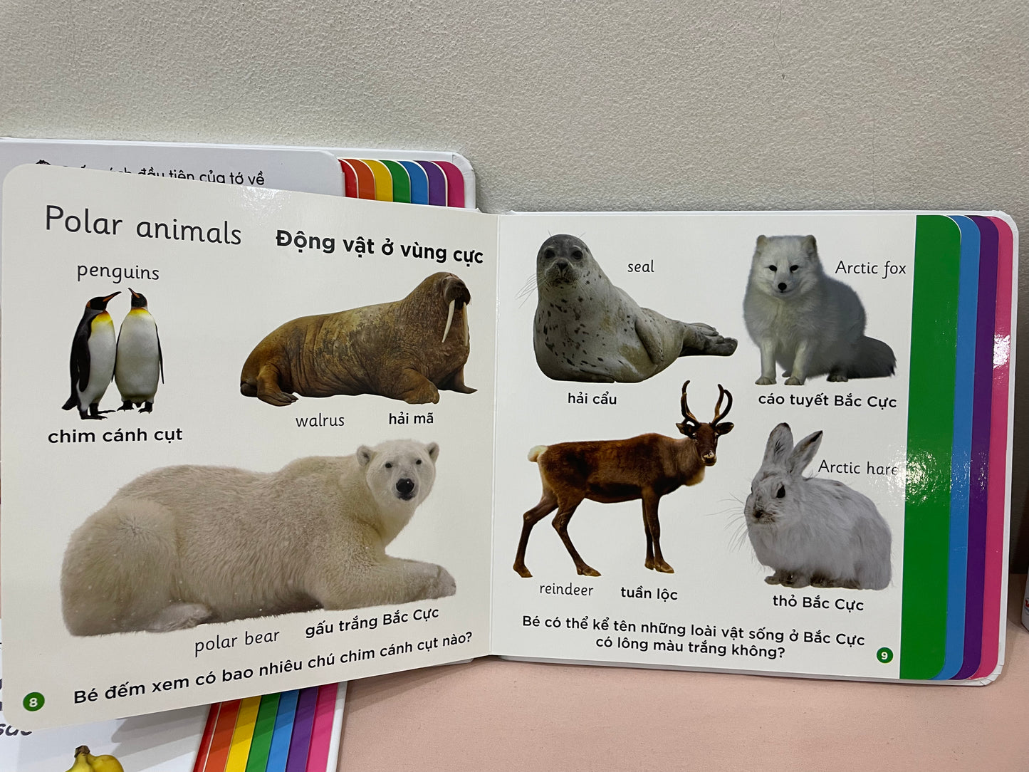 First words bilingual Vietnamese-English dictionary board book set for toddler (Animals, Colours, Farms, Vehicles, Words)