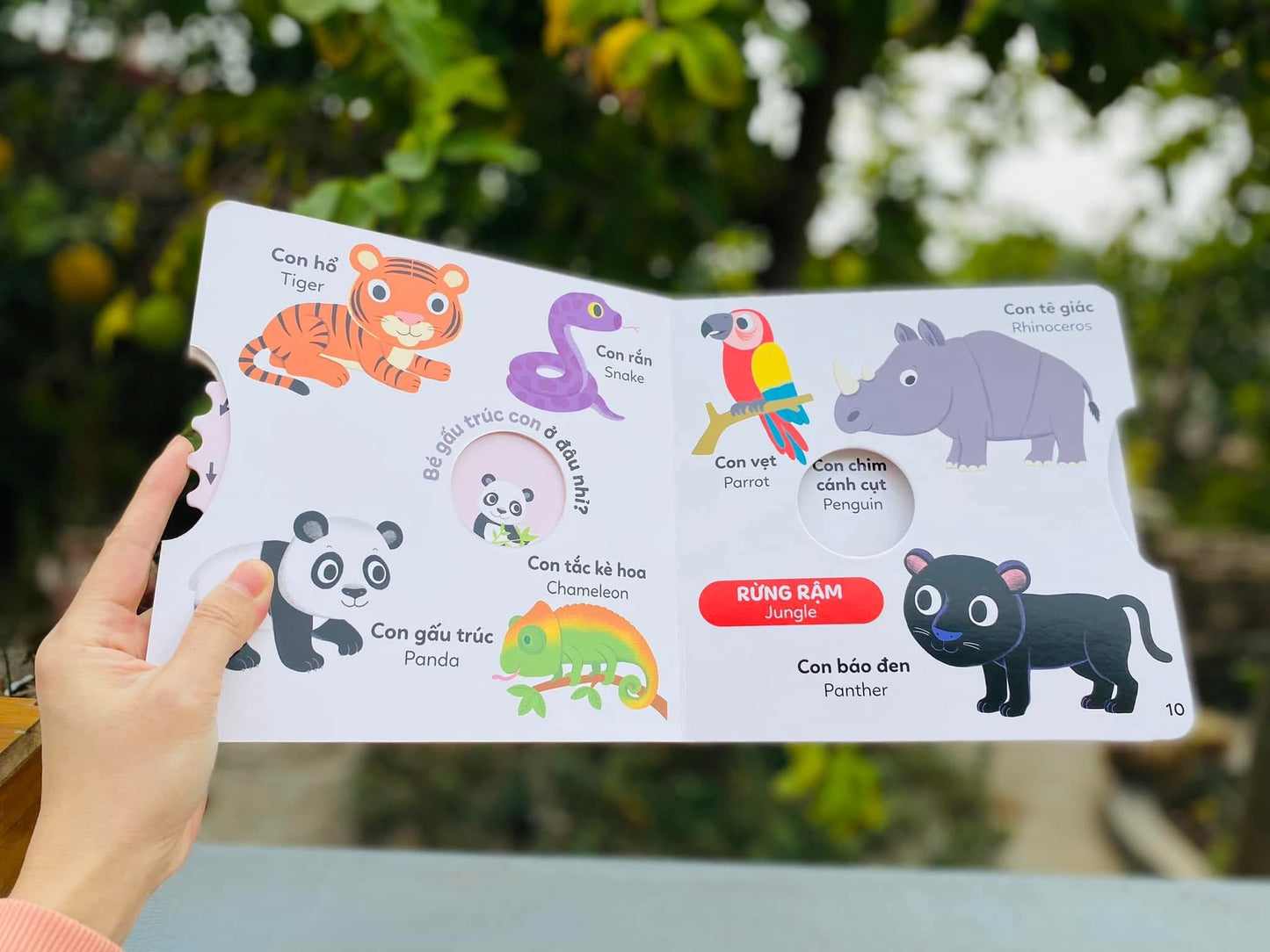 Xoay xoay những cuốn sách tương tác! Interactive boardbook to learn Vietnamese first word| Bilingual Vietnamese boardbook! Books for toddler