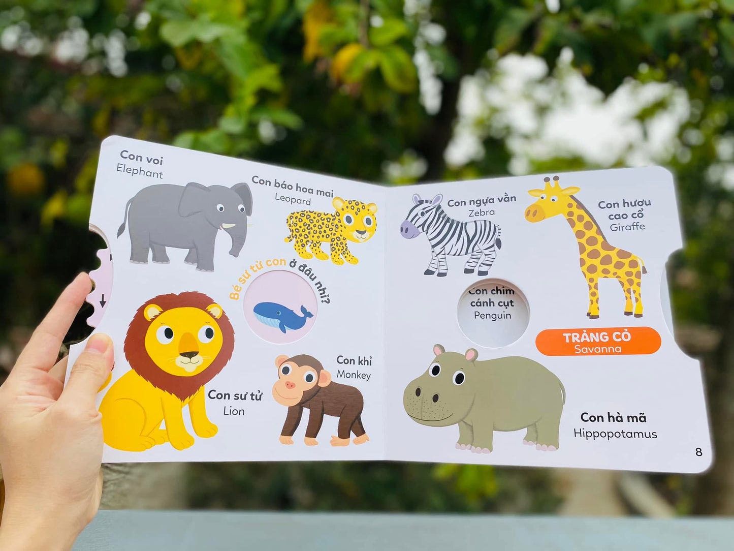 Xoay xoay những cuốn sách tương tác! Interactive boardbook to learn Vietnamese first word| Bilingual Vietnamese boardbook! Books for toddler