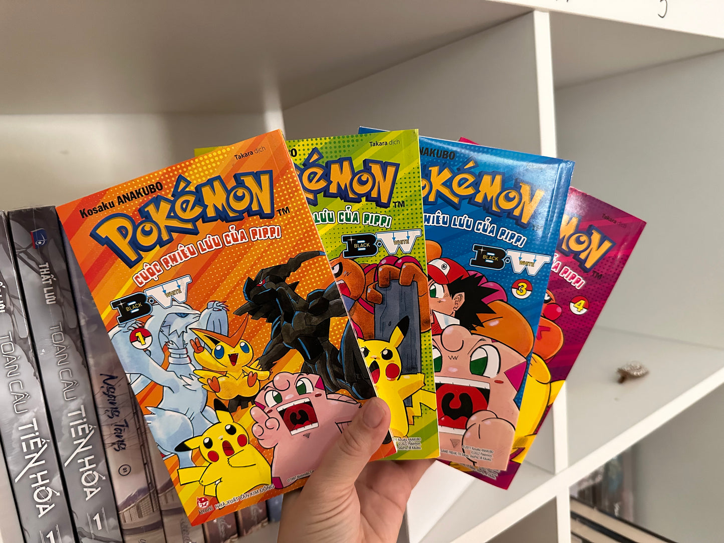 Pokemon cuộc phiêu lưu của pipi BW