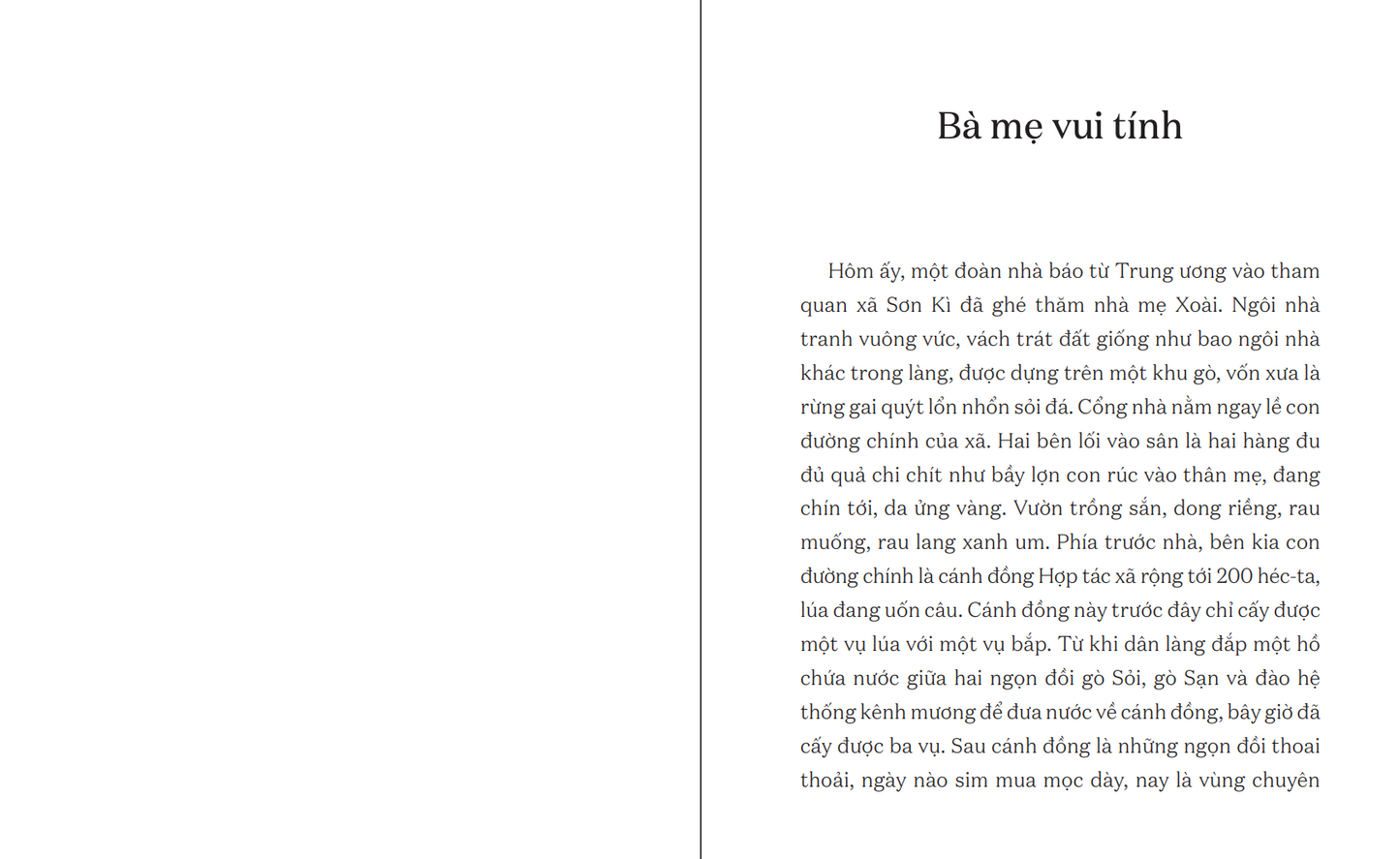 Bà mẹ vui tính (A chapter book about mother preorder)