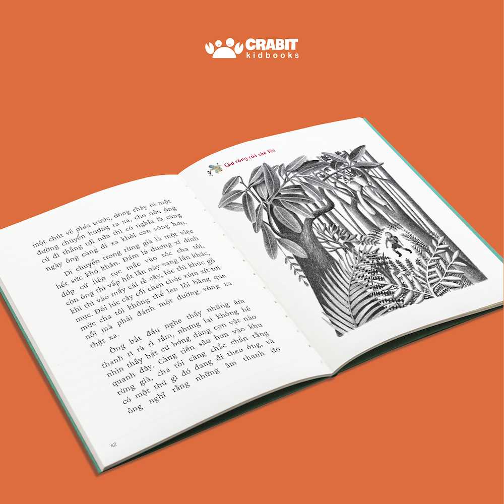 Bộ sách 2 cuốn Chú rồng của Cha tôi Bìa cứng bản đẹp