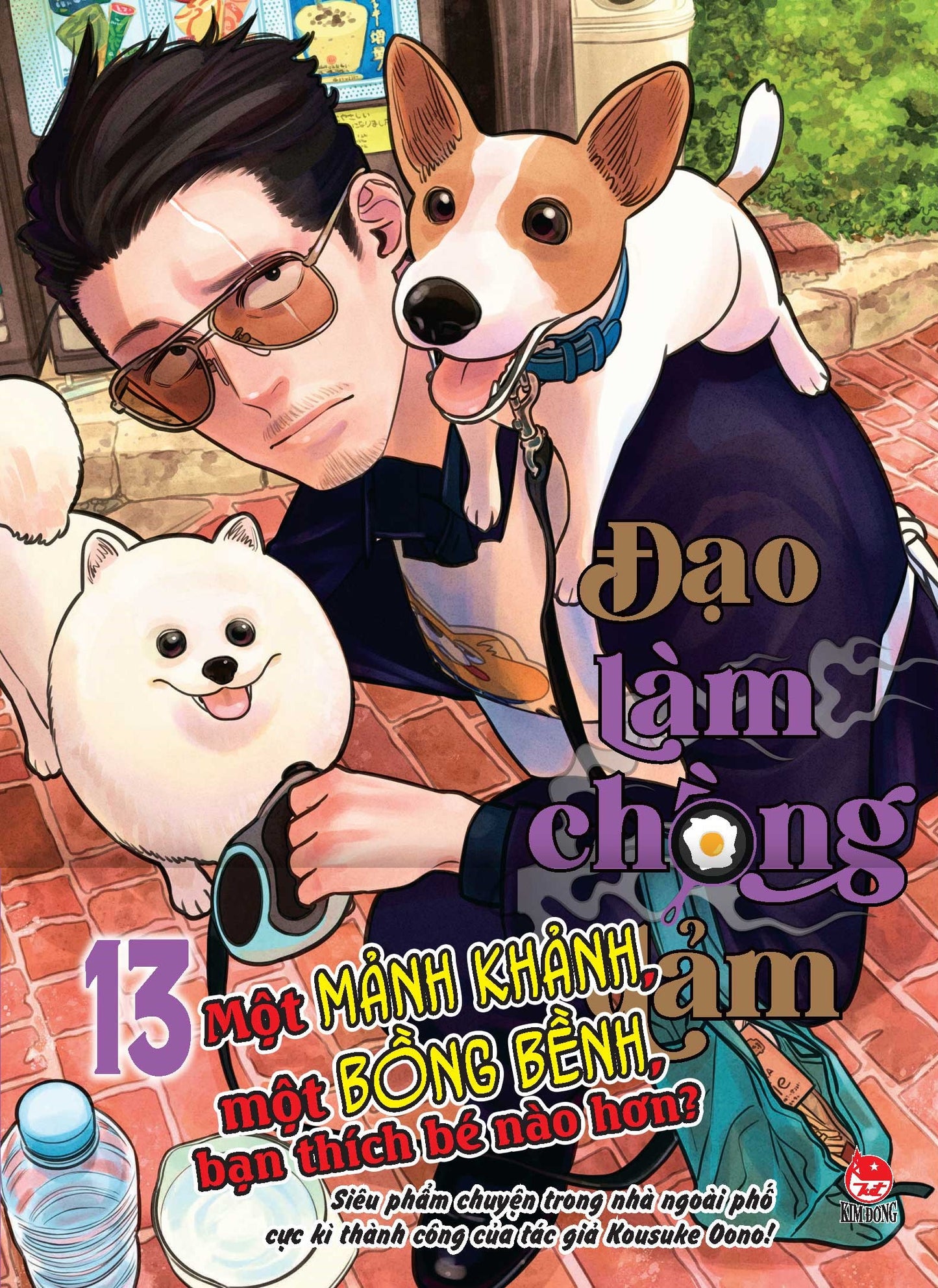 Đạo làm chồng đảm 1-13 truyện used đẹp