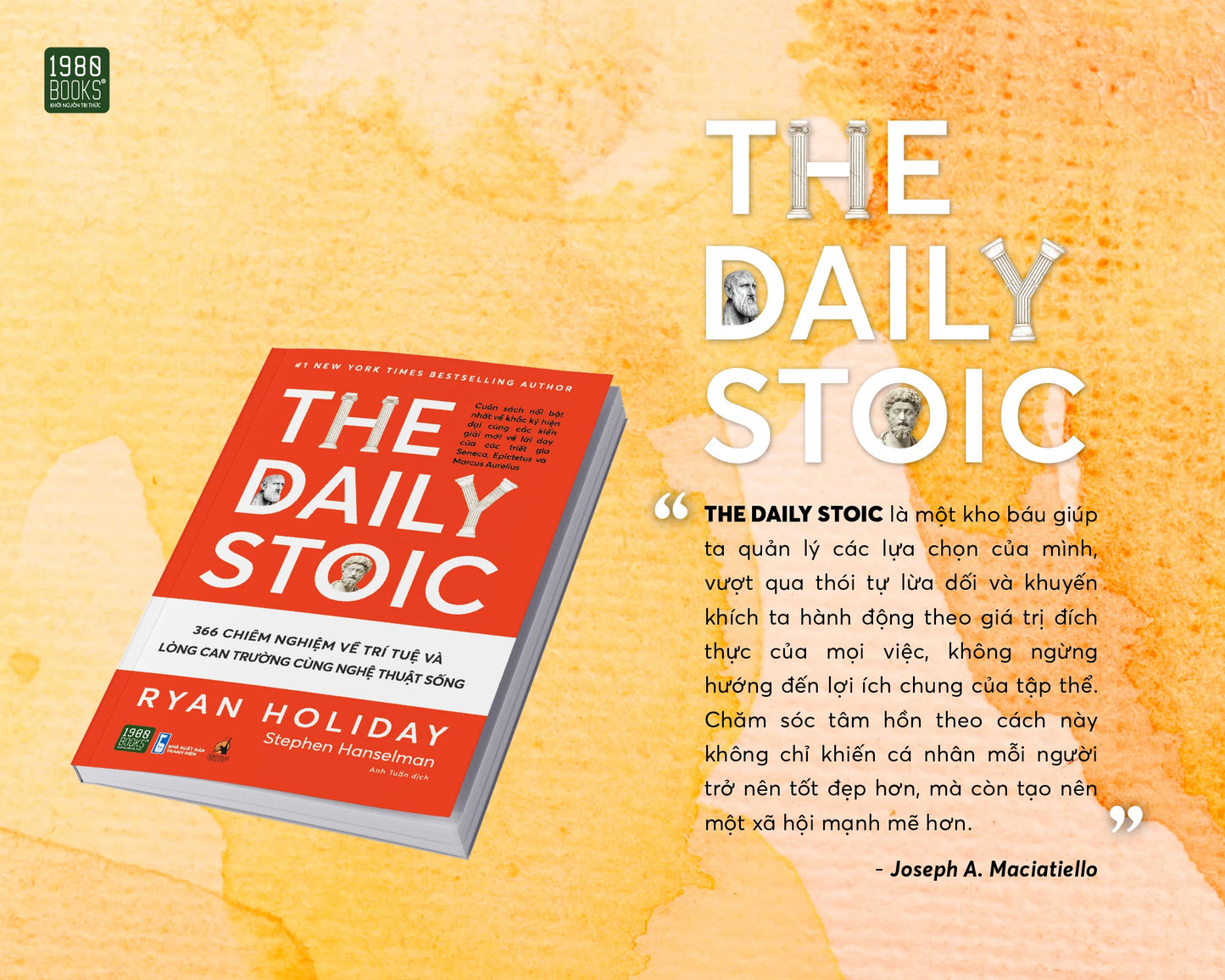 The daily stoic 36 chiêm nghiệm về lòng can trường cùng nghệ thuật sống