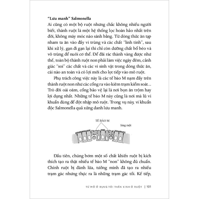 Từ sự mất ngủ của ruồi (Phan Thị Vàng Anh)