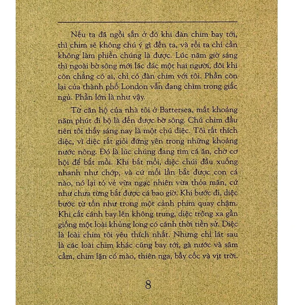 Bộ 5c Sách - Michael Morpurgo : Dấu Lửa Trong Mơ, Trở Về Tuổi Thơ, Bản Nhạc Của Mozart, Hành Trình Của Cá Voi, Chú Kì Lân Tuyệt Diệu