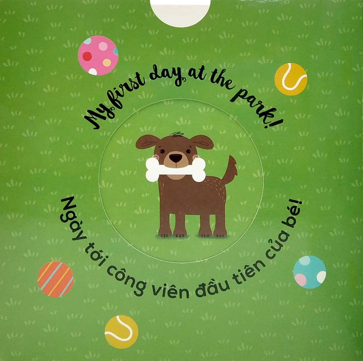 My First-Những Điều Đầu Tiên (Song Ngữ Anh Việt)—My first...bilingual Vietnamese English children book
