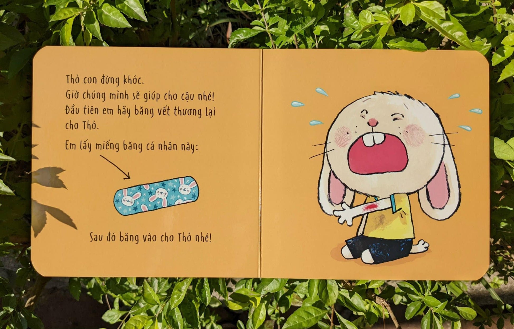Thỏ con tương tác, sáng tạo - Bộ sách tương tác