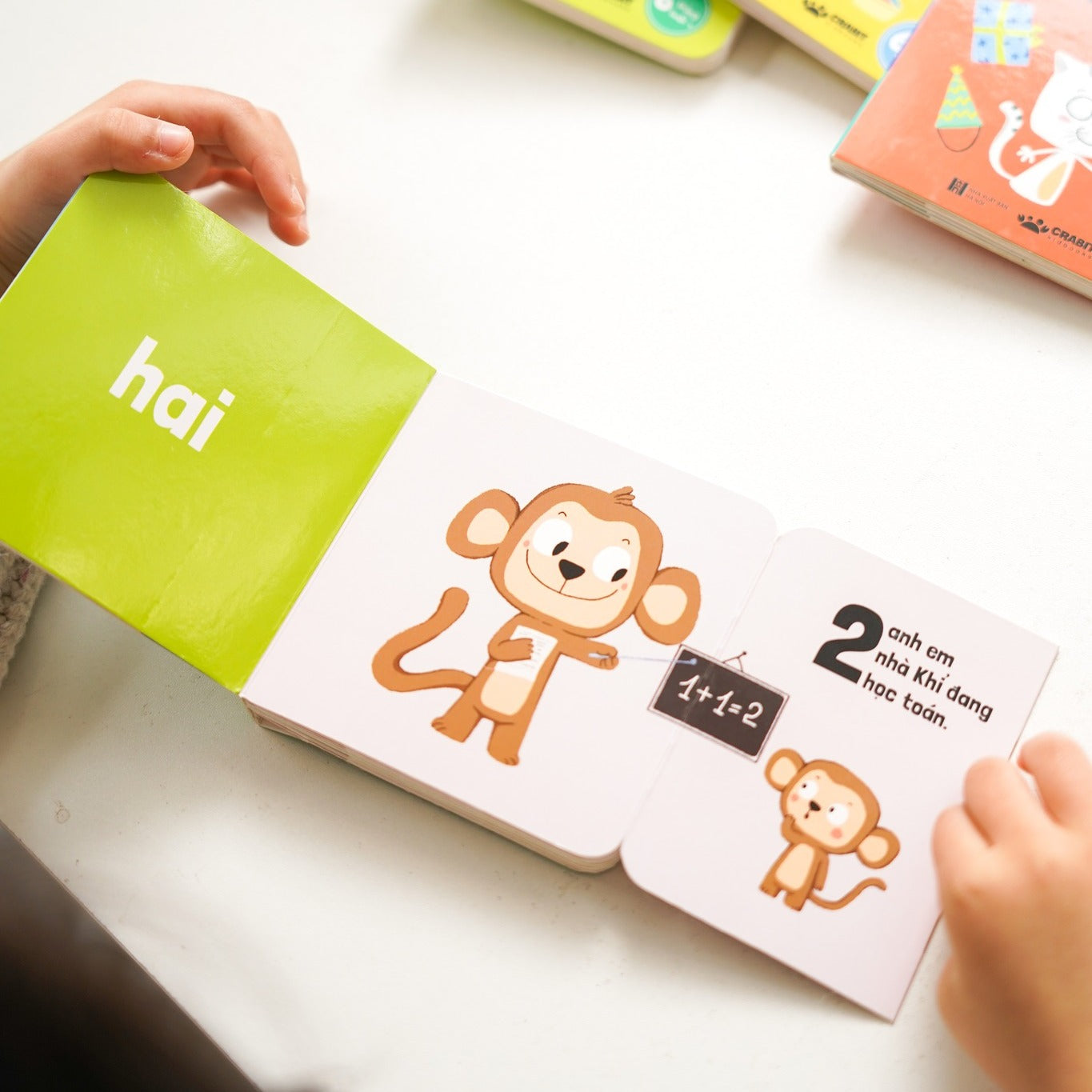 Boxset Tủ sách đầu đời của bé (Bộ 06 Cuốn)–Boxset 6 boardbooks Children's first words