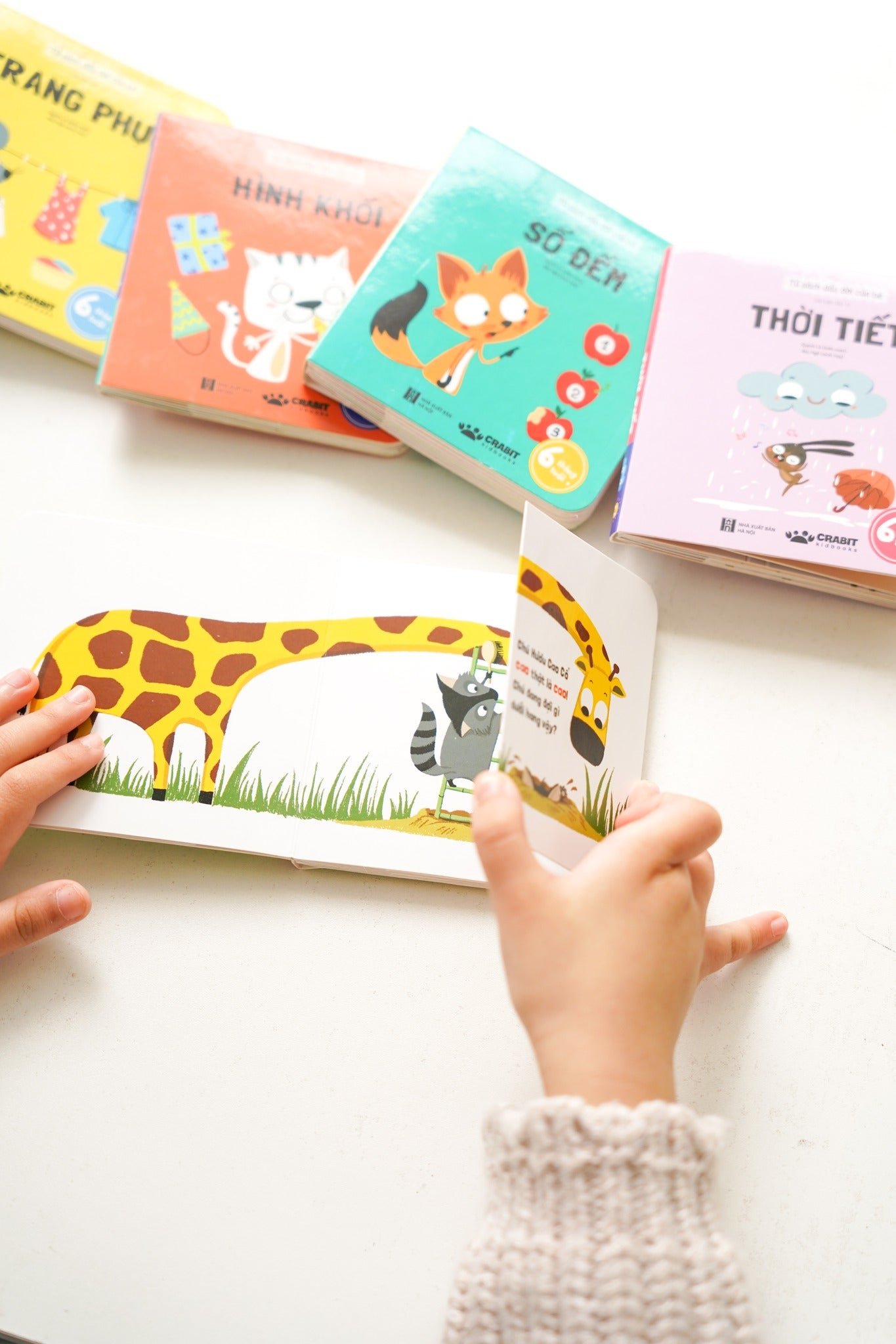 Boxset Tủ sách đầu đời của bé (Bộ 06 Cuốn)–Boxset 6 boardbooks Children's first words