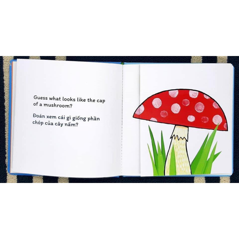 Combo 3 cuốn sách đố vui lật giở song ngữ—Combo 3 bilingual interactive children books