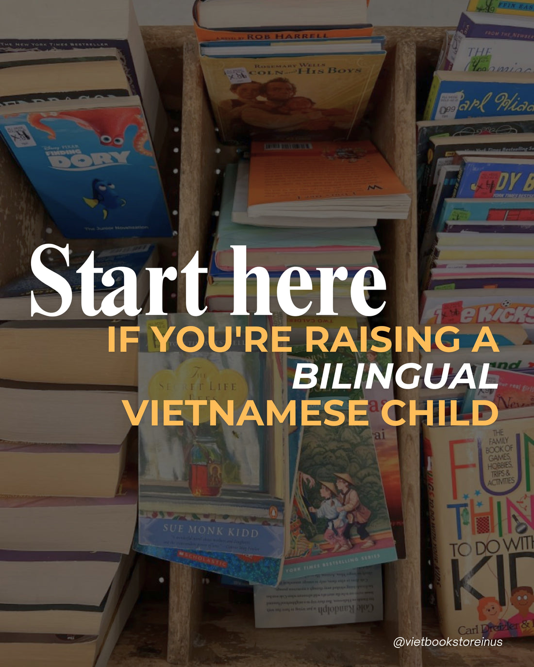 Bilingual Vỉetnamese English resources