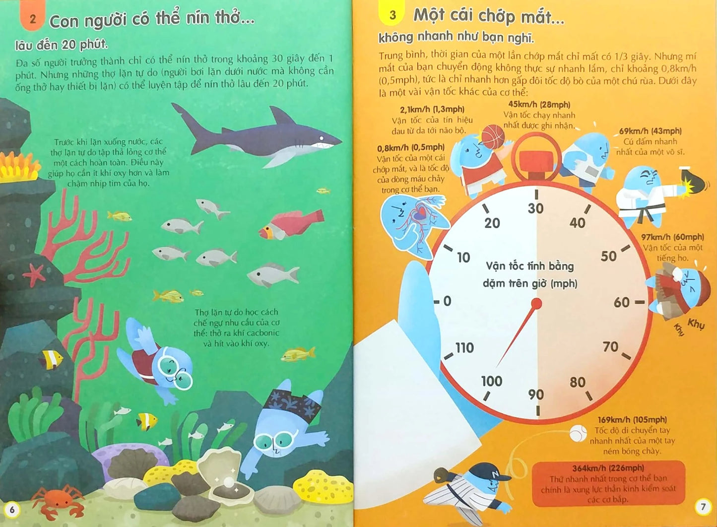 100 Bí ẩn đáng kinh ngạc về cơ thể người 100 things to about the human body in Vietnamese