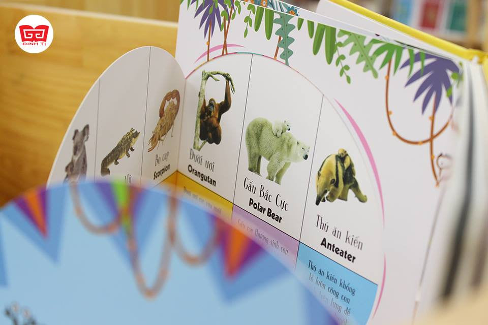 Combo 5 cuốn sách tương tác bìa cứng Lift-the-Flap—5 Interactive Vietnamese boardbooks for kids