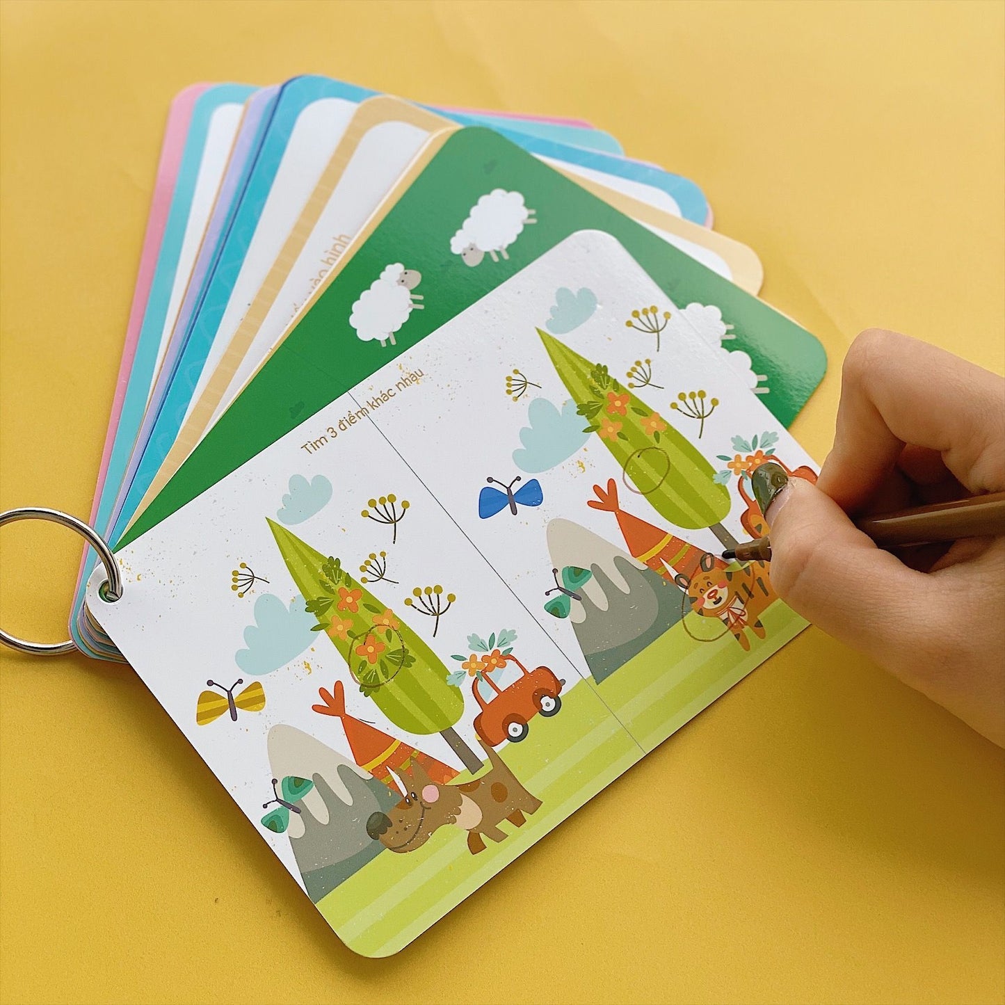 Flashcards - Tí Toáy Tính Toán (Wipable flashcards for learning Math Vietnamese edition)