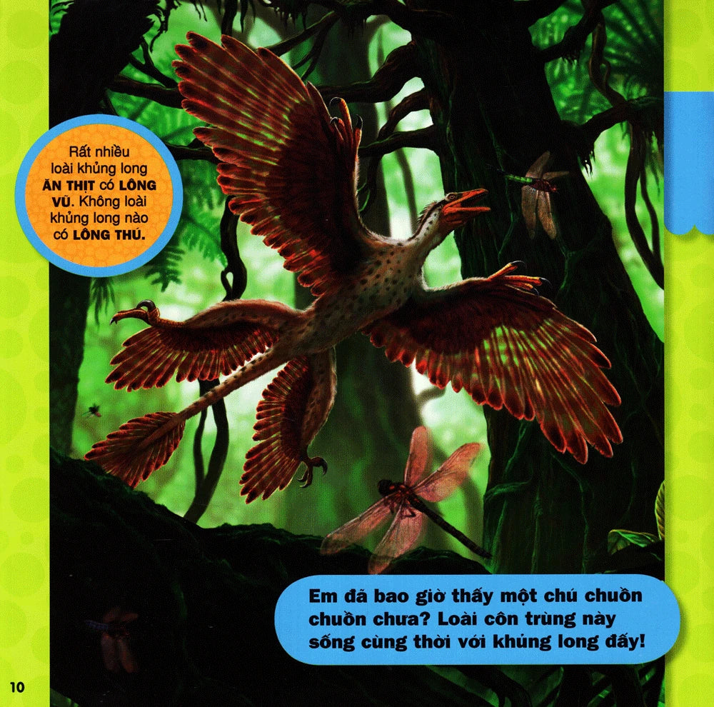 Cuốn Sách Lớn Đầu Tiên Của Tớ: Khủng long|My First Big Book:Dinosaurs|National Geographic Book for Kids Vietnamese Version