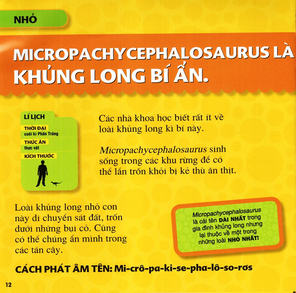Cuốn Sách Lớn Đầu Tiên Của Tớ: Khủng long|My First Big Book:Dinosaurs|National Geographic Book for Kids Vietnamese Version