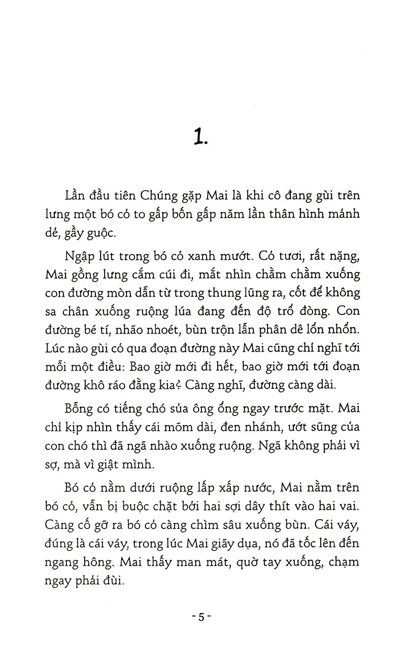 Cánh chim kiêu Hãnh Đỗ Bích Thuý (preorder book)