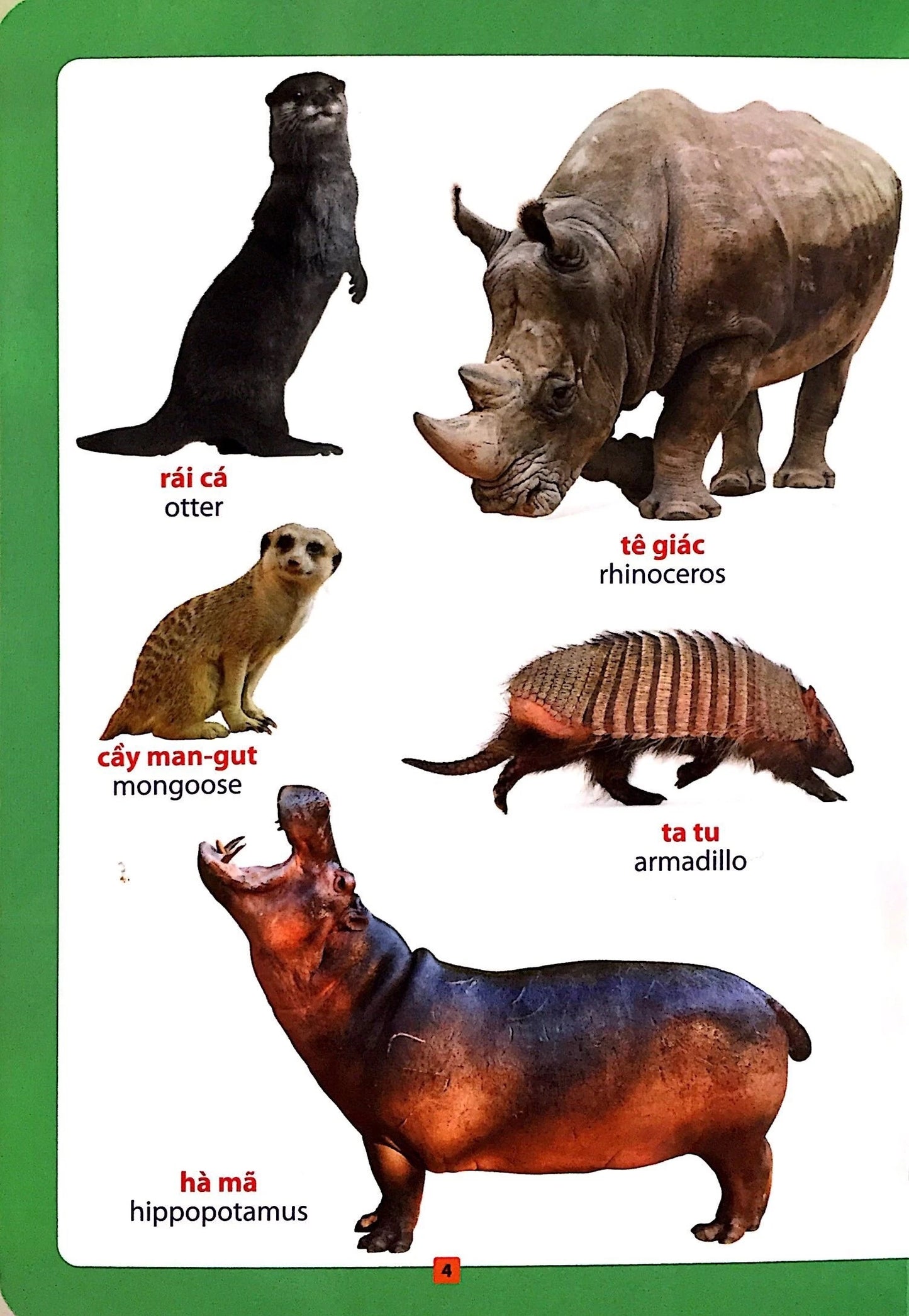 Picture Dictionary: Animals Around Me Từ điển bằng hình song ngữ động vật quanh em