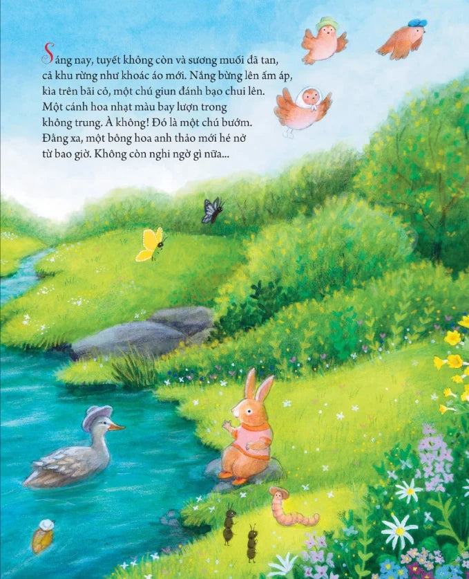 Combo 5 cuốn Bốn mùa bên nhau| Combo 5 books Four seasons together in Vietnamese