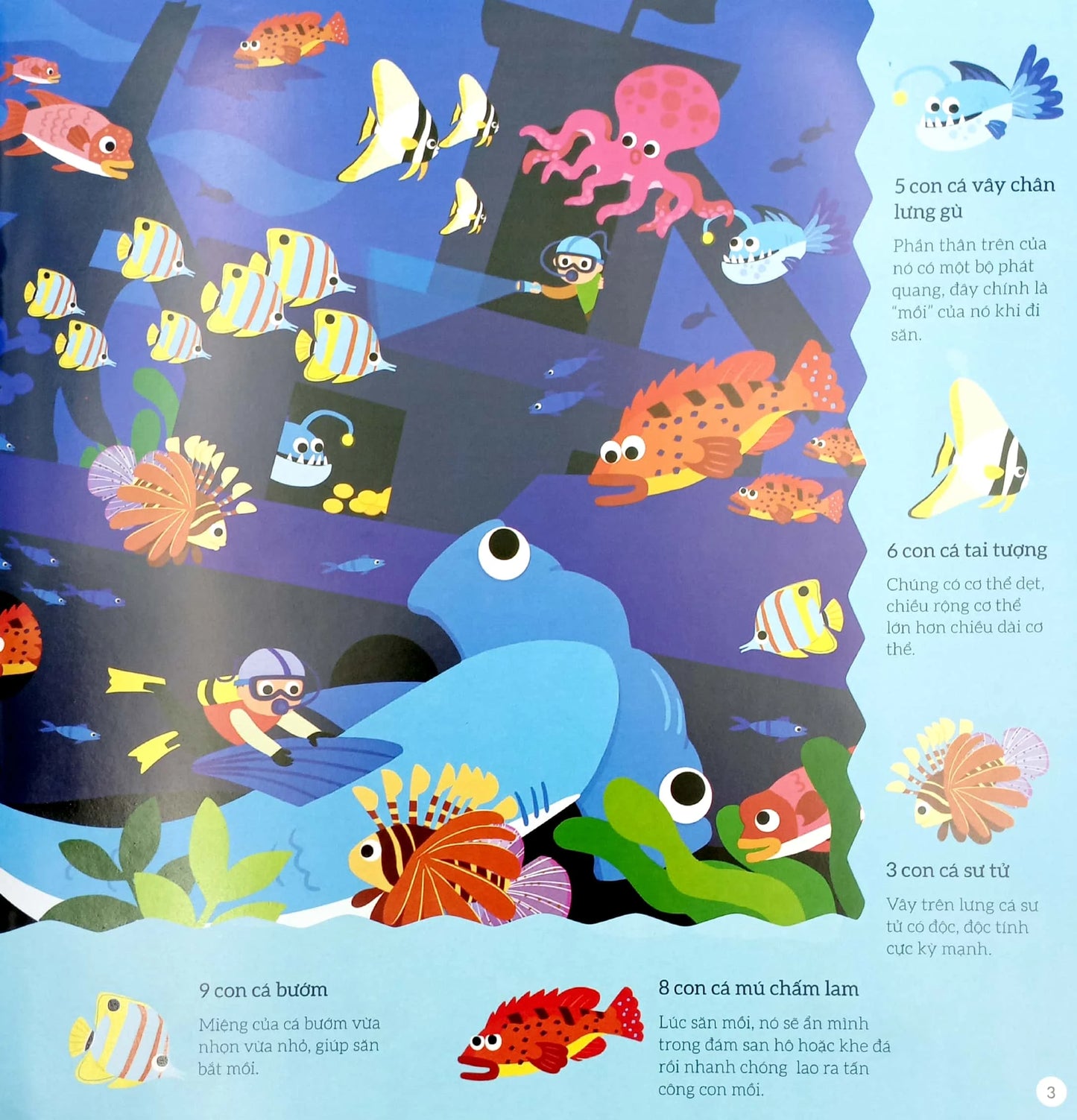 Combo 4 cuốn Tìm kiếm thông minh (Baby focus training books Vietnamese edition)