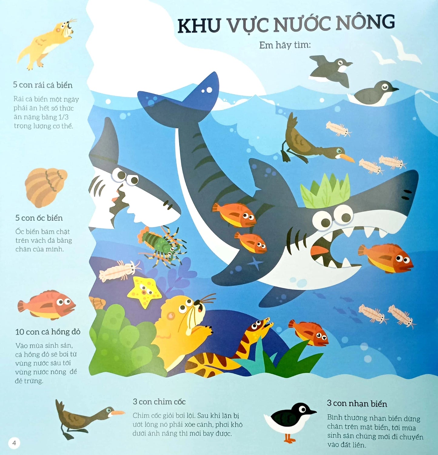 Combo 4 cuốn Tìm kiếm thông minh (Baby focus training books Vietnamese edition)