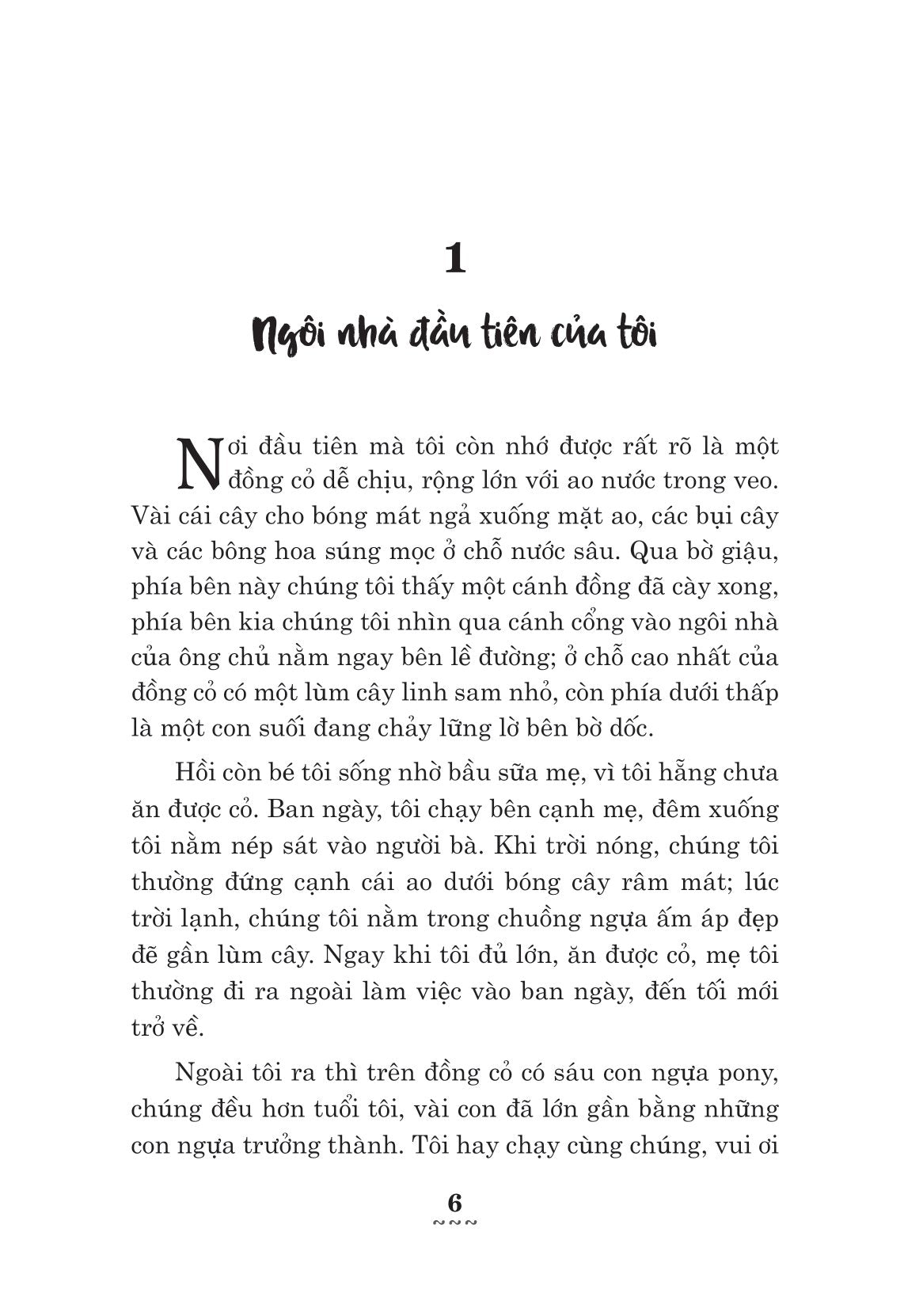 Ngựa Ô Yêu Dấu