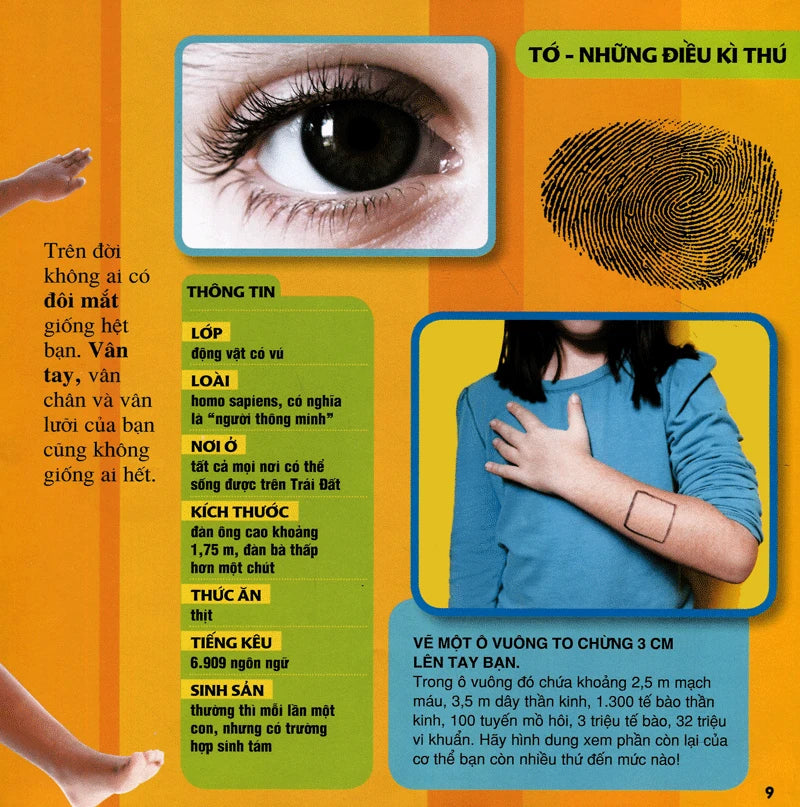 Cuốn Sách Lớn Đầu Tiên Của Tớ: Những Câu Hỏi Tại Sao|My First Big Book: Why Questions|National Geographic Book for Kids Vietnamese Version