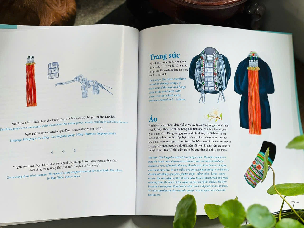 Du Khảo: Rực Rỡ Sắc Màu Trang Phục Phụ Nữ Các Dân Tộc Việt Nam (A bilingual book about traditional costumes of Vietnamese ethnic groups)
