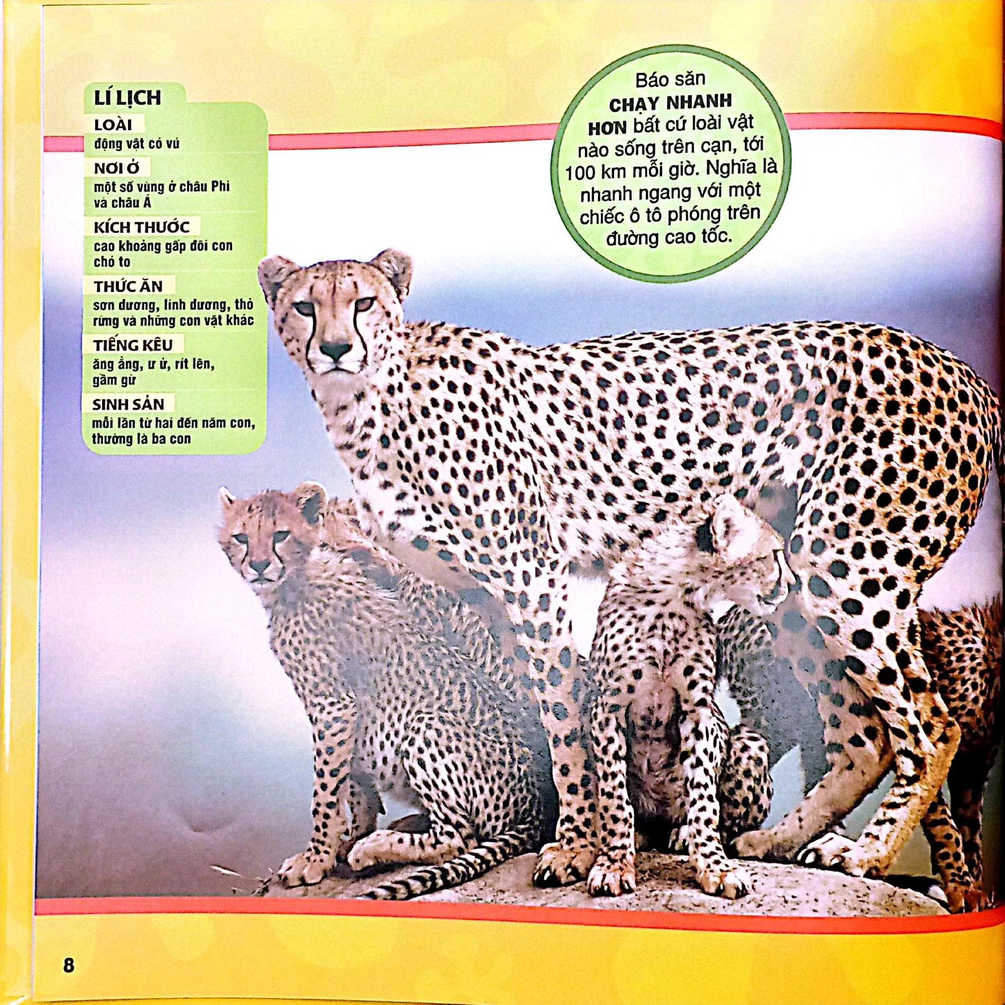 Cuốn Sách Lớn Đầu Tiên Của Tớ: Động vật|My First Big Book: Animals|National Geographic Book for Kids Vietnamese Version