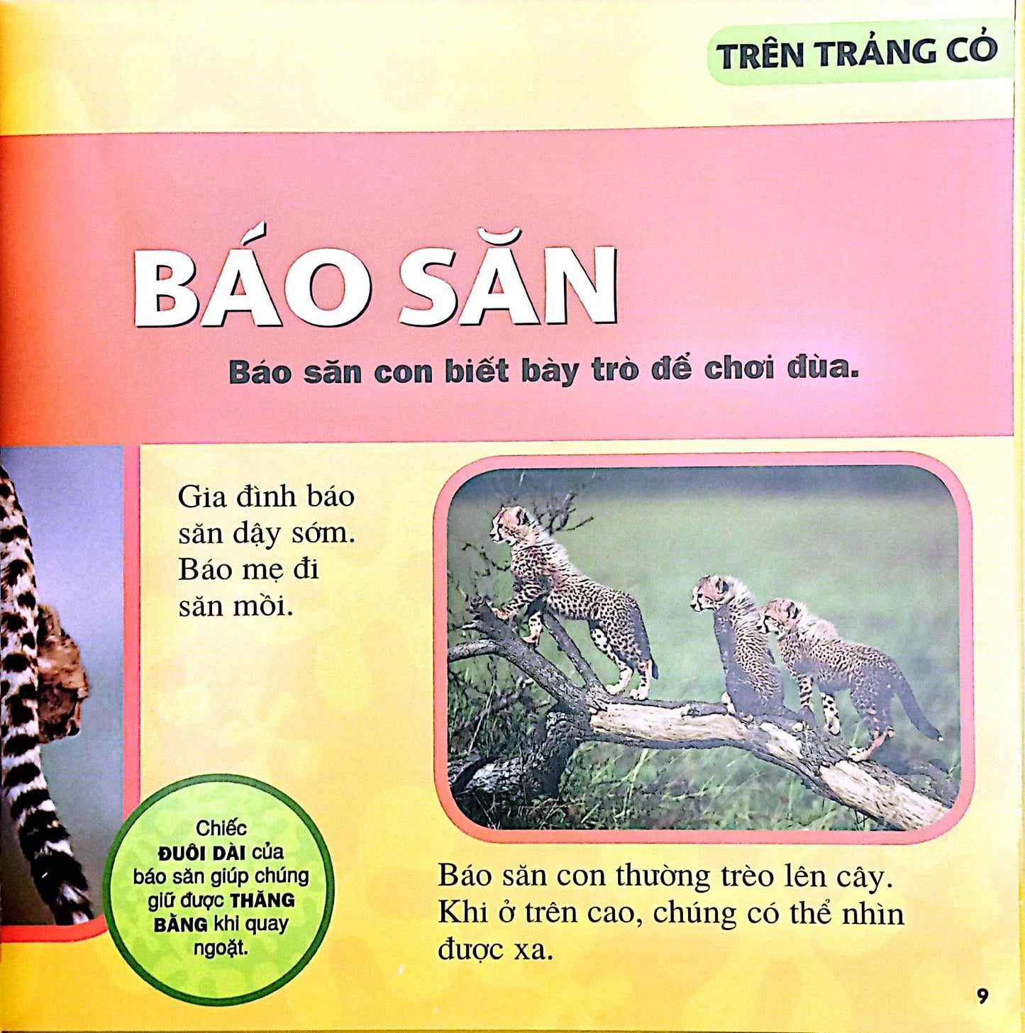 Cuốn Sách Lớn Đầu Tiên Của Tớ: Động vật|My First Big Book: Animals|National Geographic Book for Kids Vietnamese Version