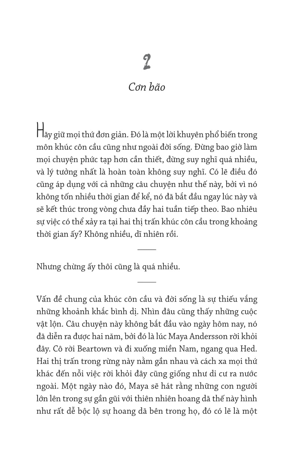Bear Town - Fredrick Beckman - In Vietnamese Language