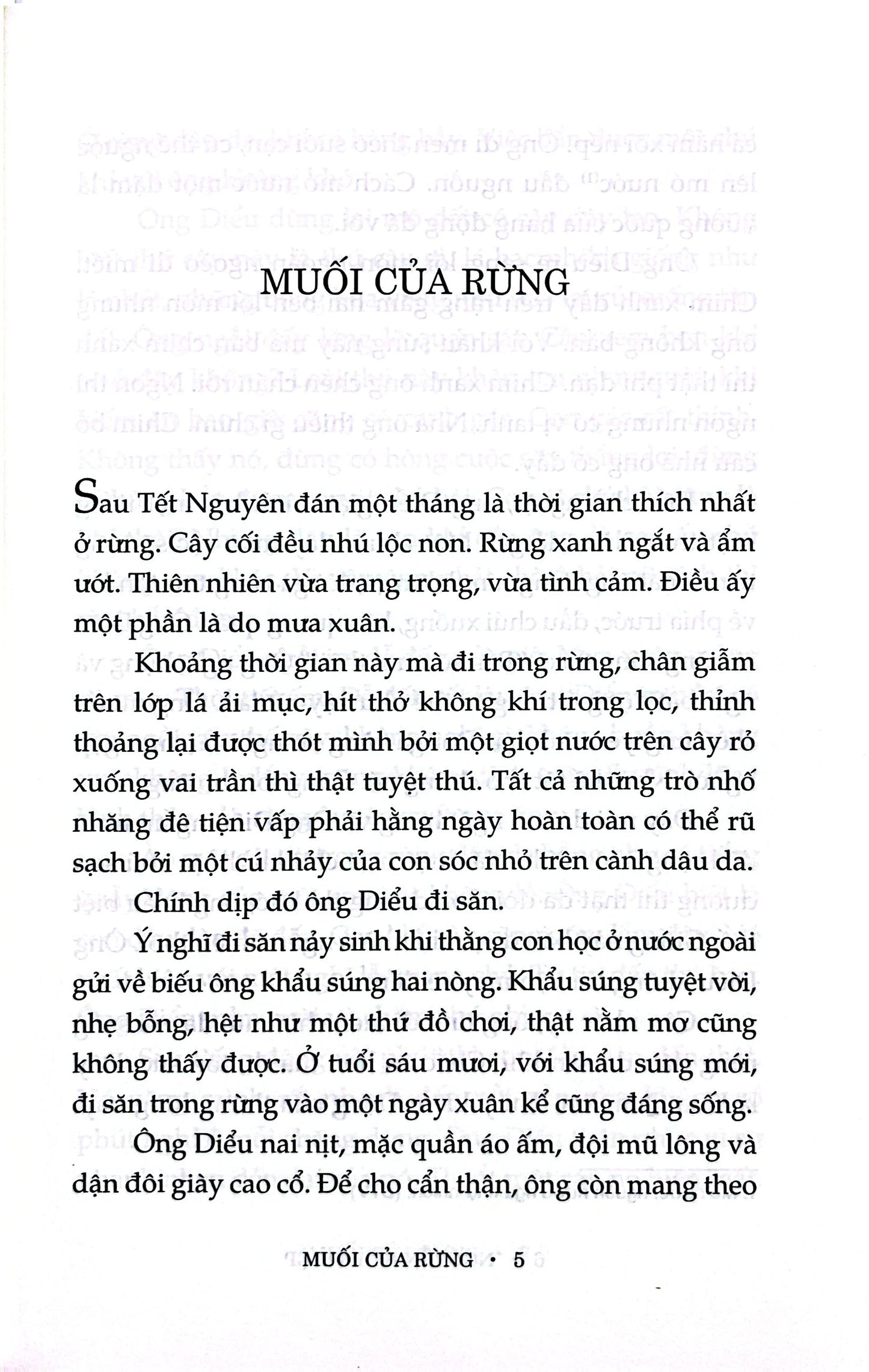 Cánh Buồm Nâu Thuở Ấy