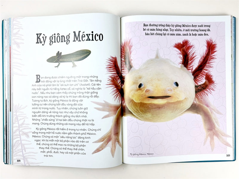 Bách Khoa Thư Kỳ Thú về Động Vật (Encyclopedia of Animals in Vietnamese)