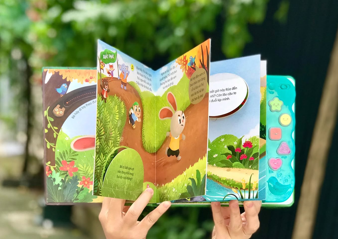 Sách âm thanh - Thỏ và Rùa Soundbook Rabbit and Turtle