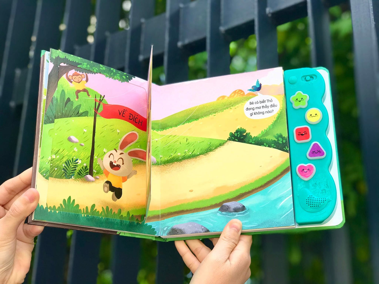 Sách âm thanh - Thỏ và Rùa Soundbook Rabbit and Turtle