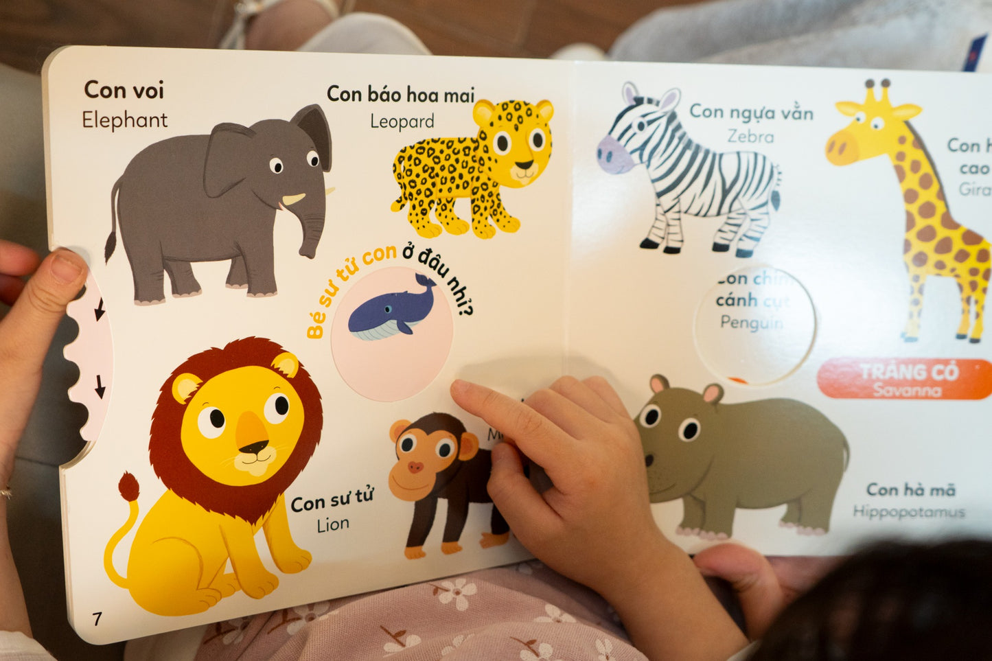 Xoay xoay những cuốn sách tương tác! Interactive boardbook to learn Vietnamese first word| Bilingual Vietnamese boardbook! Books for toddler