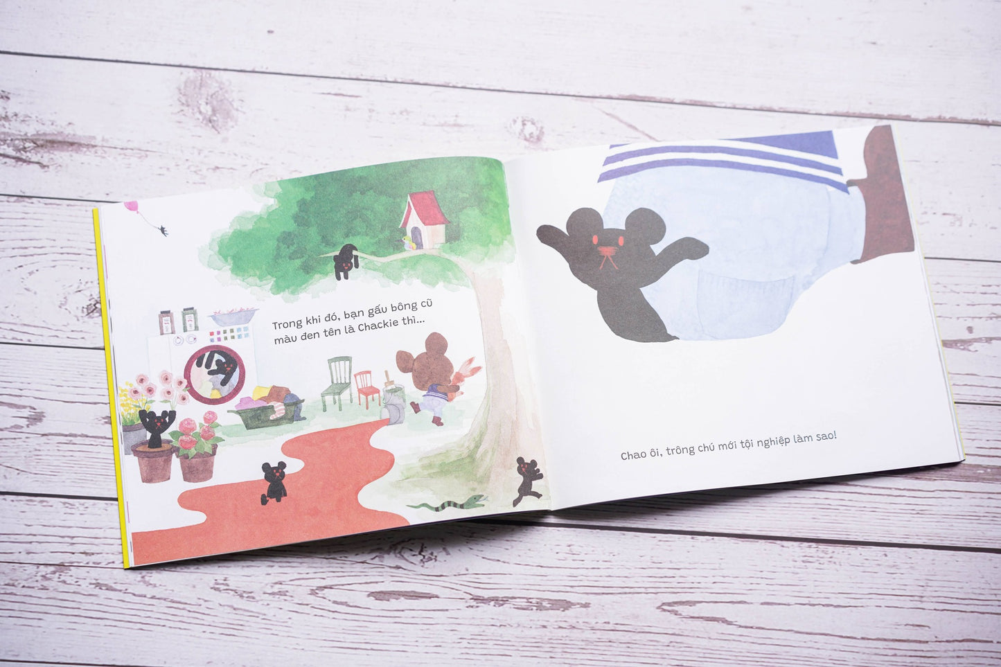 Combo 6 cuốn The Bear School (Trường Học Của Gấu)