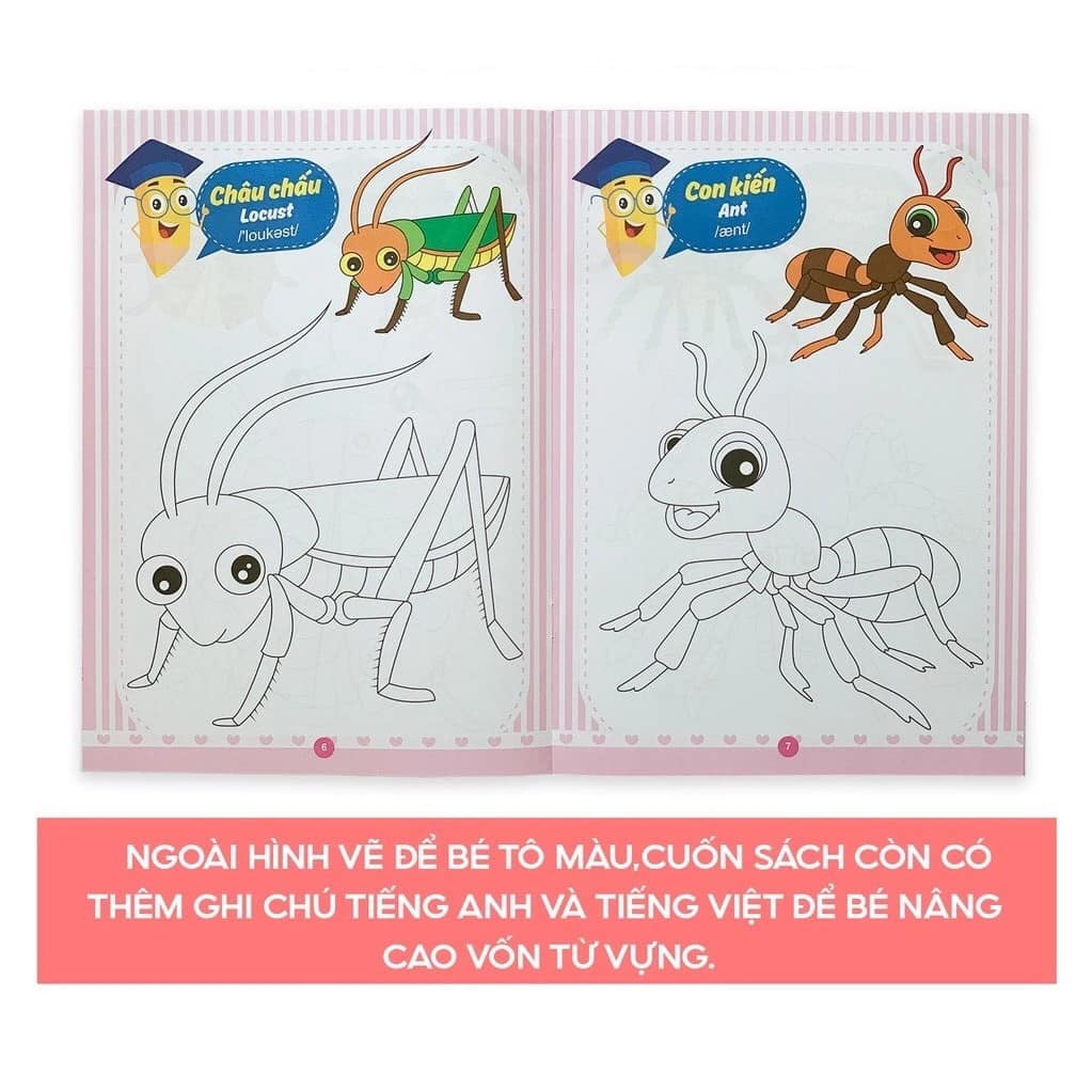 Combo Tập Tô Màu Song Ngữ Cho Bé Từ 4-5 Tuổi| Bilingual Vietnamese–English Coloring Book Set (8 Books) for Ages 4-5