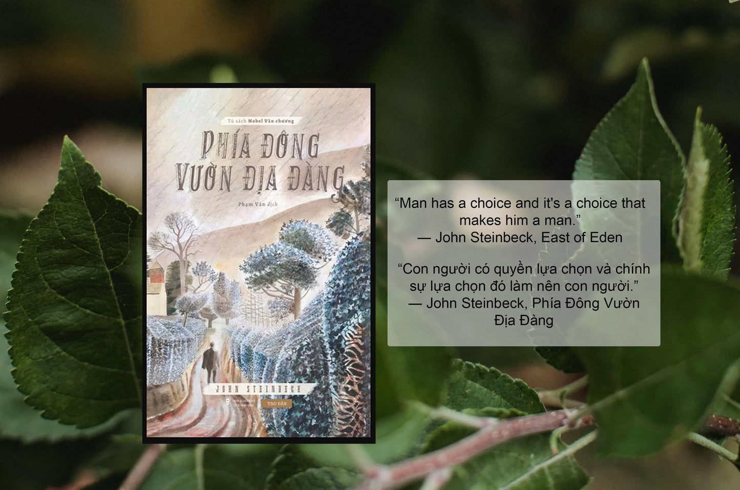 Phía đông vườn địa đàng East of Eden Vietnamese version